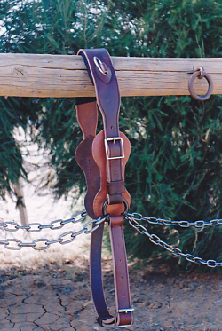 draught pair work harness