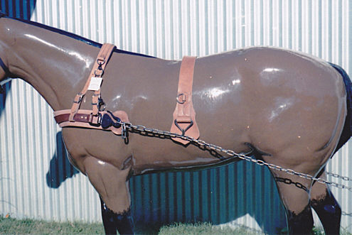 plough harness with breastplate
