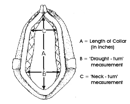 collar measurements