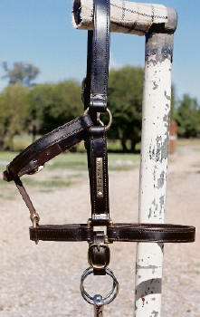 Draught Headstall